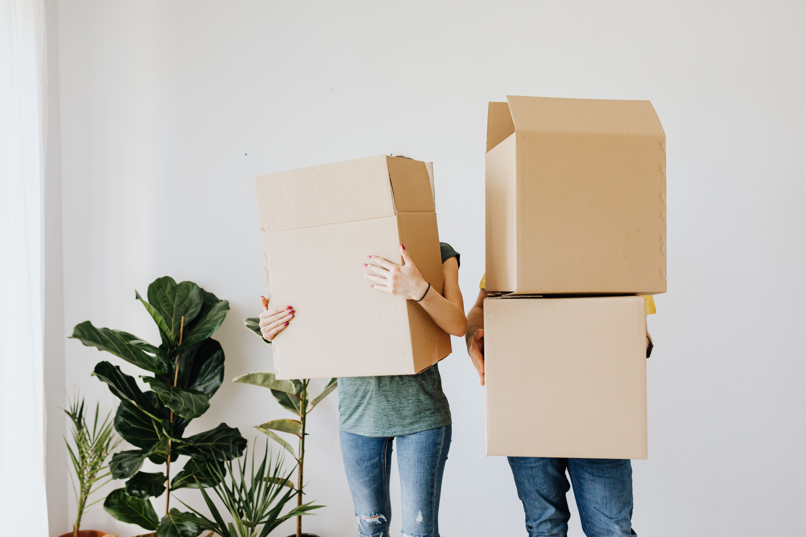 neatly packed moving boxes