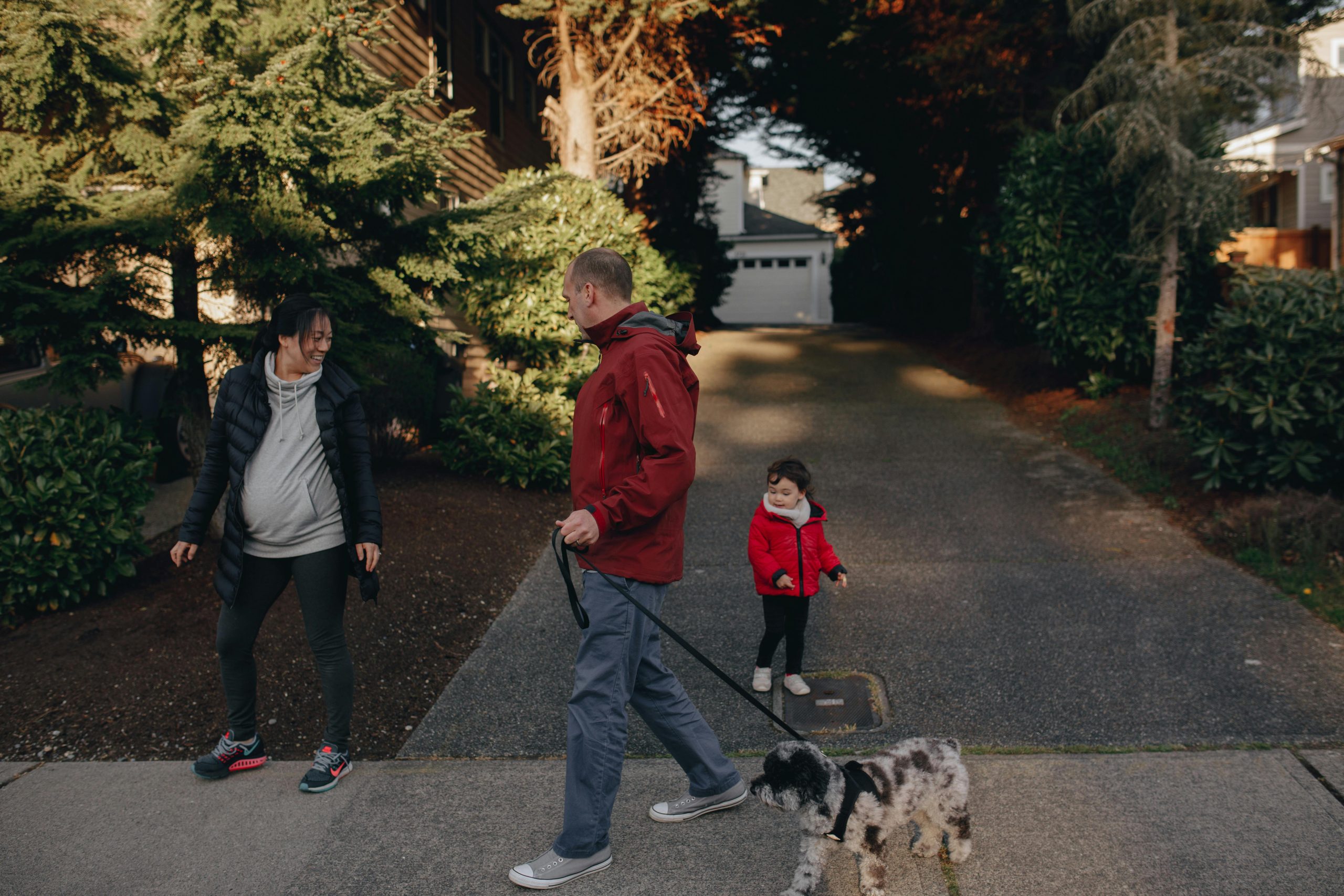 "Pet-friendly moves: Essential tips for relocating with your furry friends stress-free"