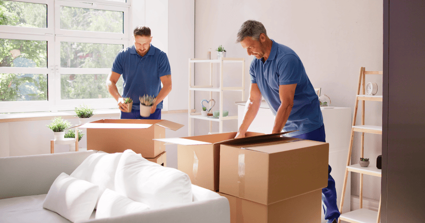 Professional movers working efficiently while packing items. 